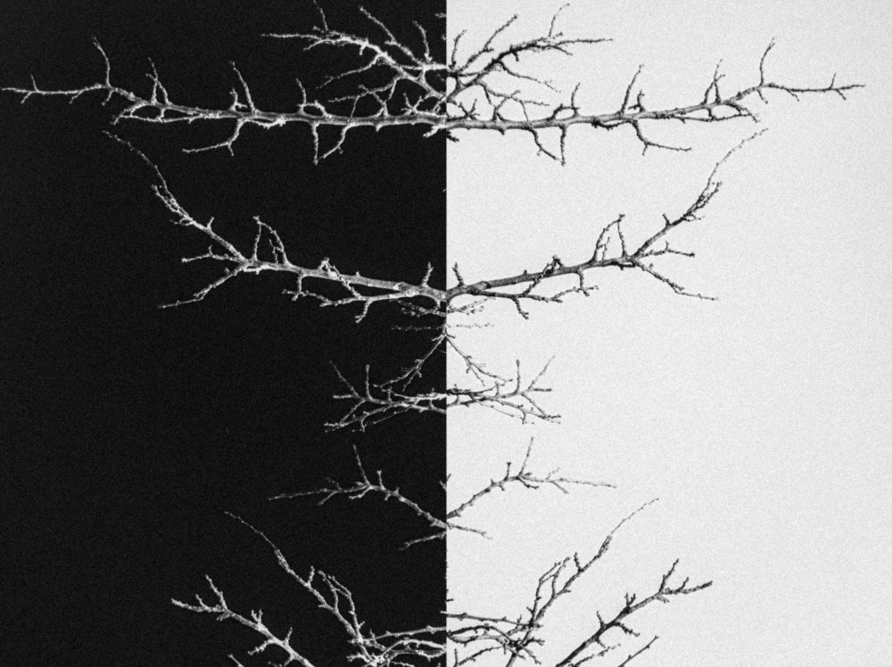 Photograph by Влад Имиров