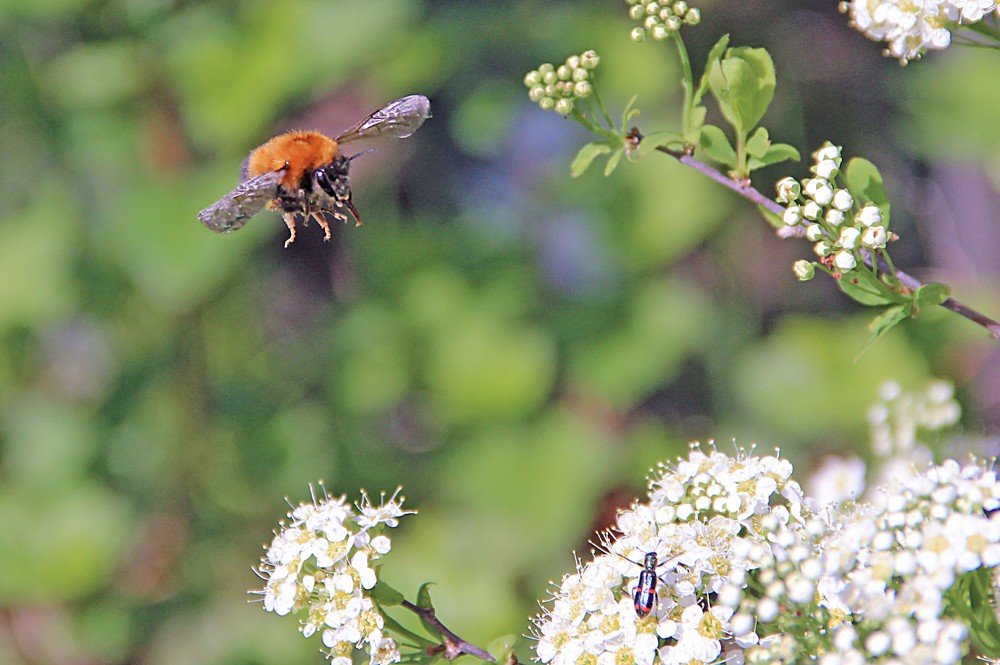 Photograph by Pavel Palkin