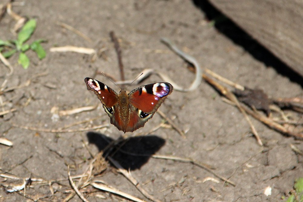 Photograph by Pavel Palkin