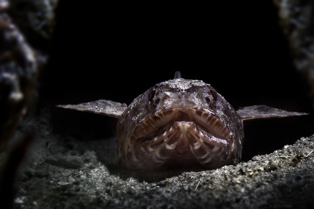 Photograph by Альт Эдуард