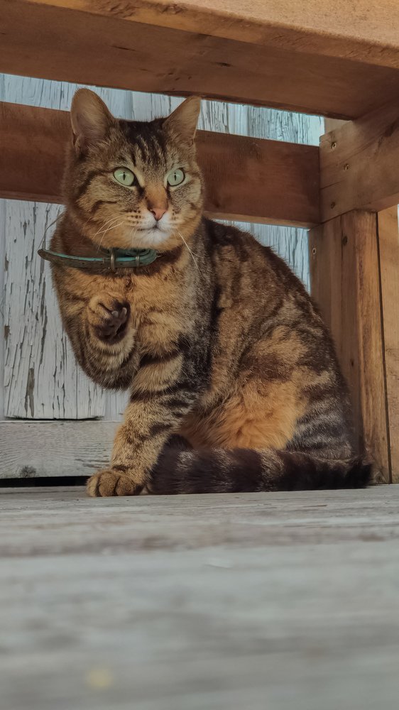 Photograph by Дмитрий Кустов