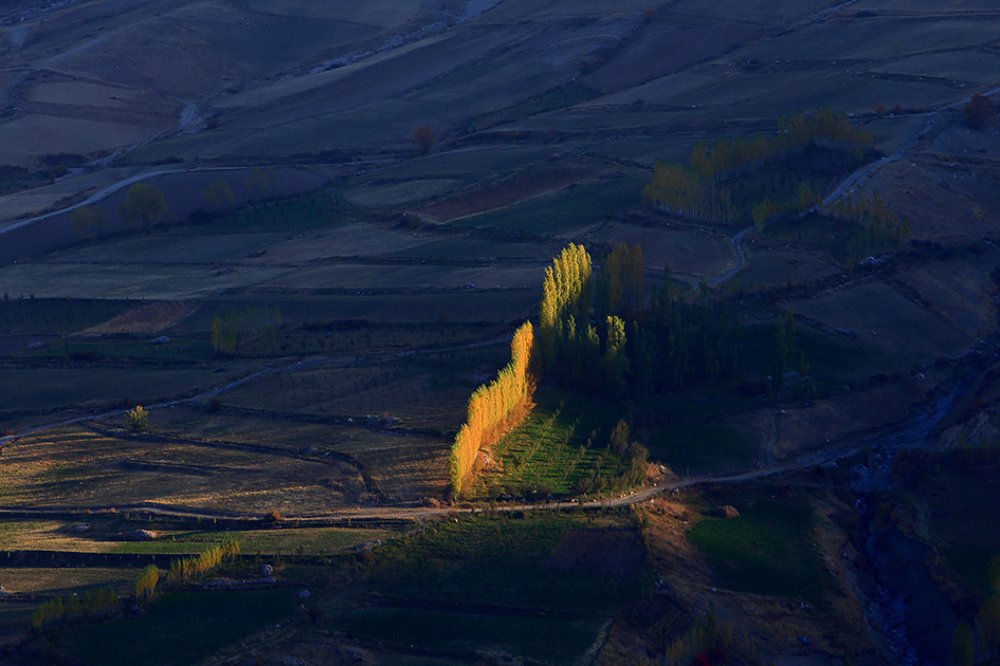 Photograph by Хамдам Шарахмедов