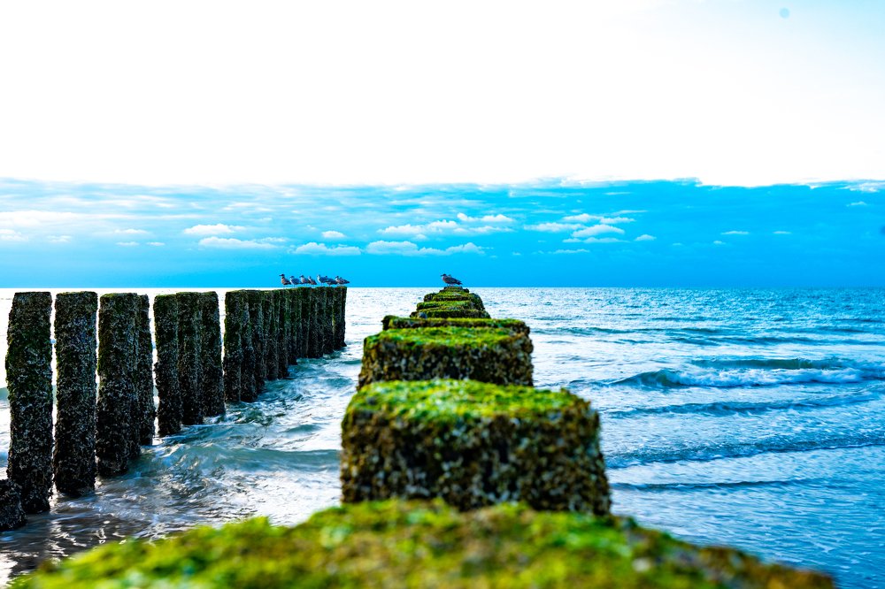 Photograph by Martina Arweiler