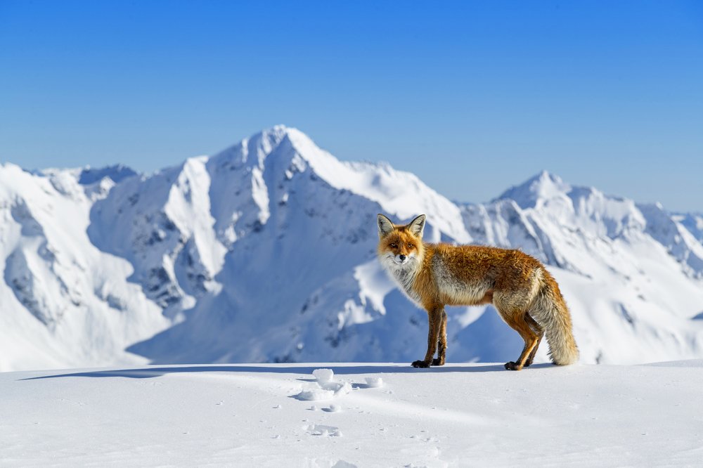 Photograph by Константин Кукушкин