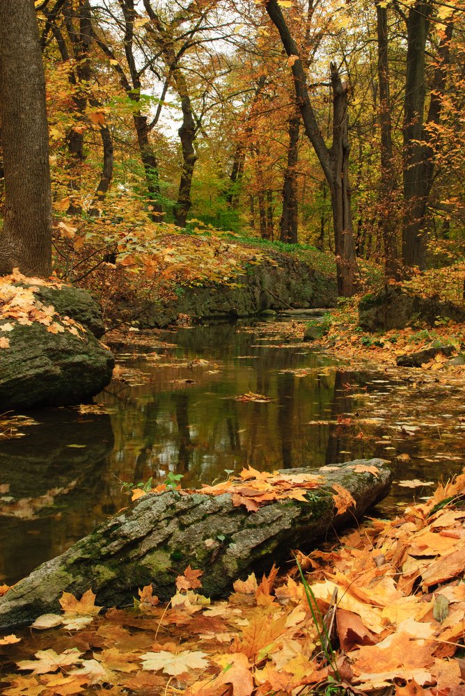 Photograph by Сергей Щербина