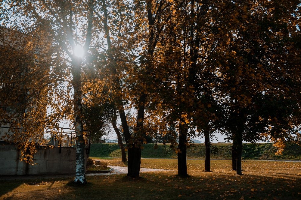 Photograph by Надежда Тенетко