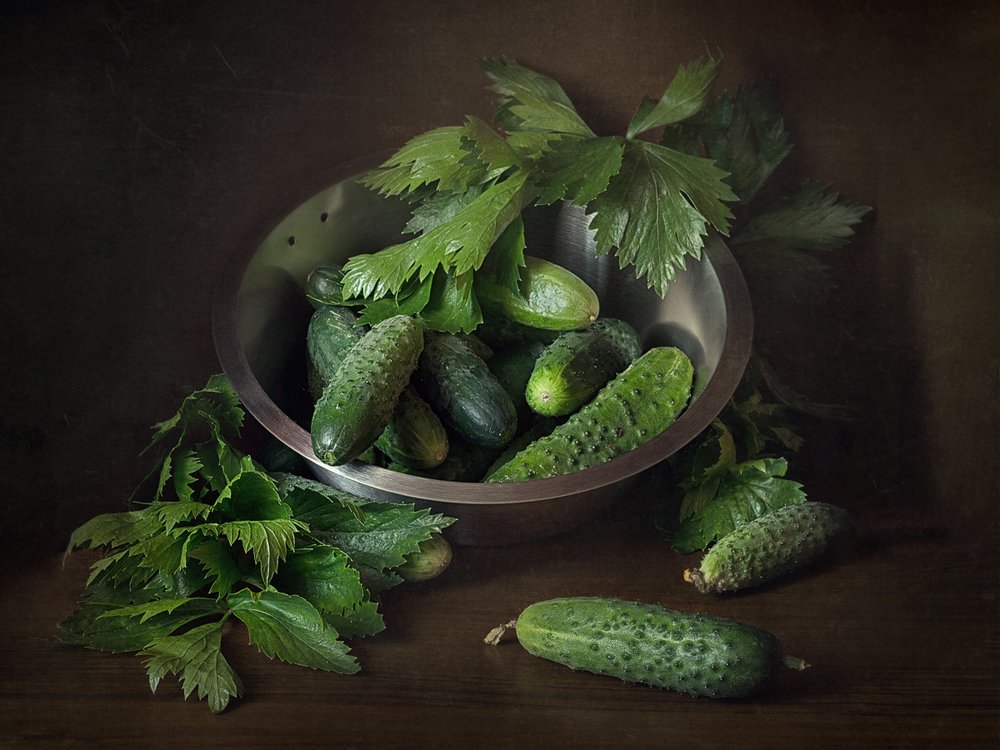 Photograph by Levsha©