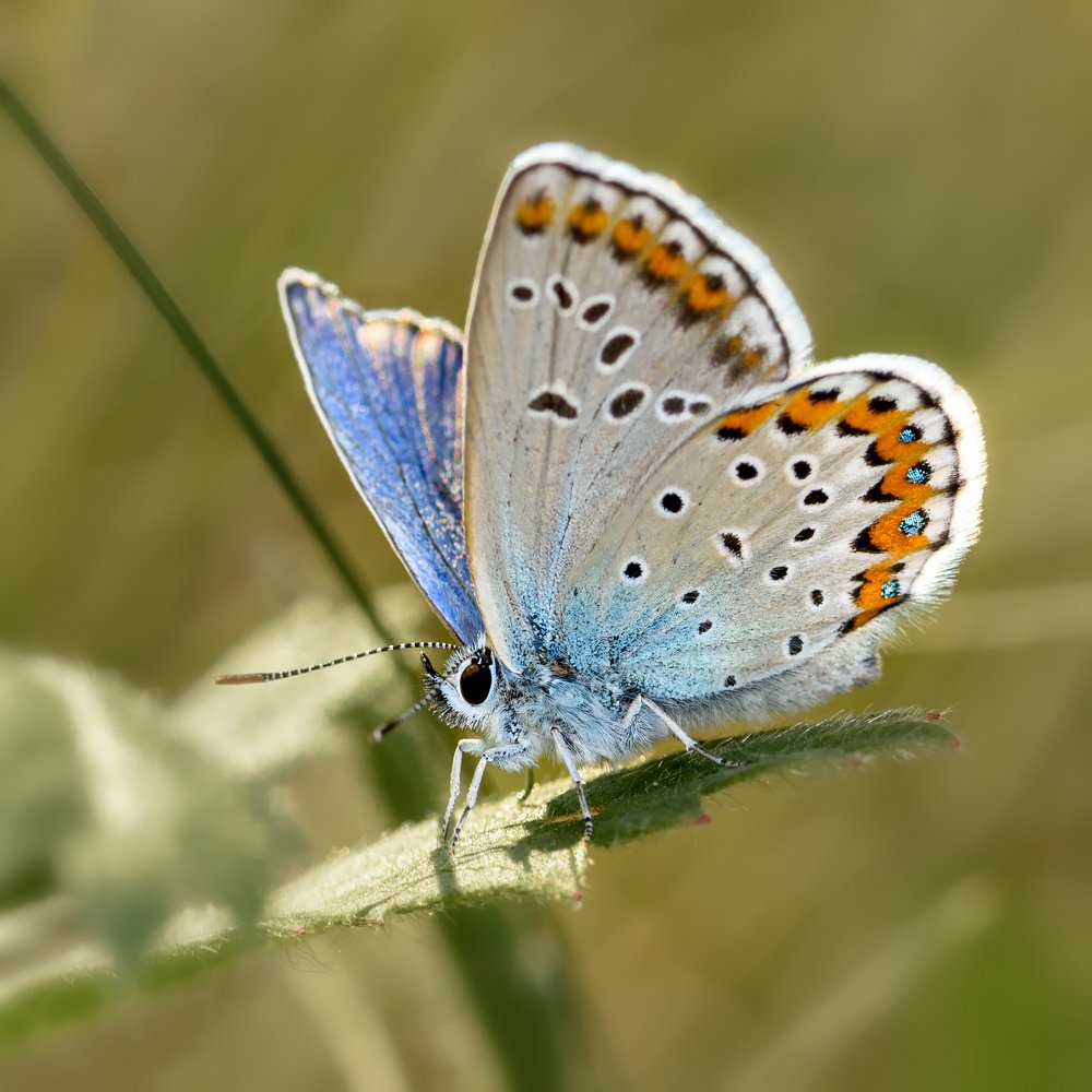 Фотография автора Владимир Зубков