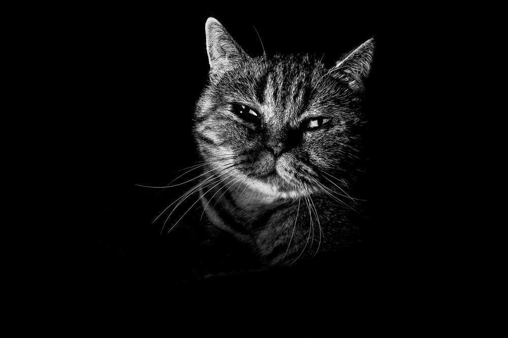 Photograph by Николай Мышляев