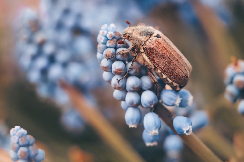 Photograph by Николай Мышляев