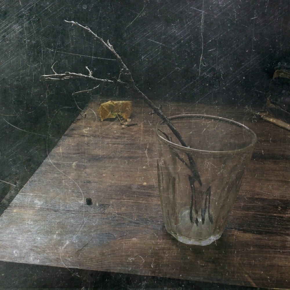 Фотография автора Ирина Курмалеева