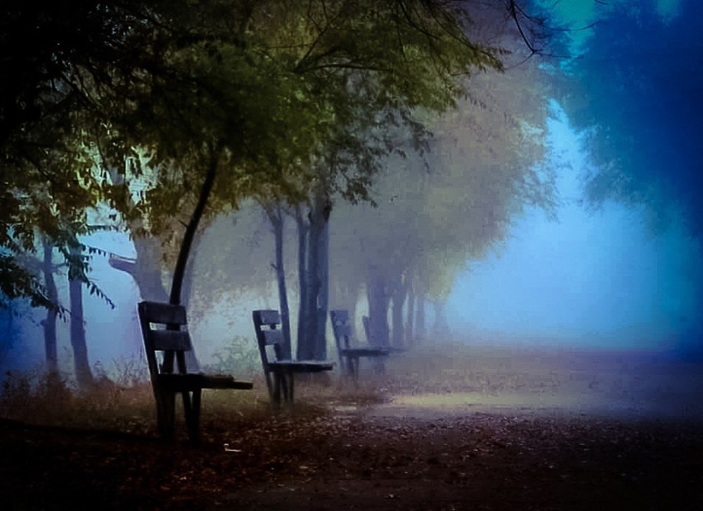 Вечерний туман