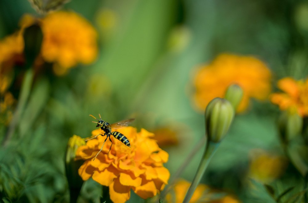 Photograph by Роман Надточий