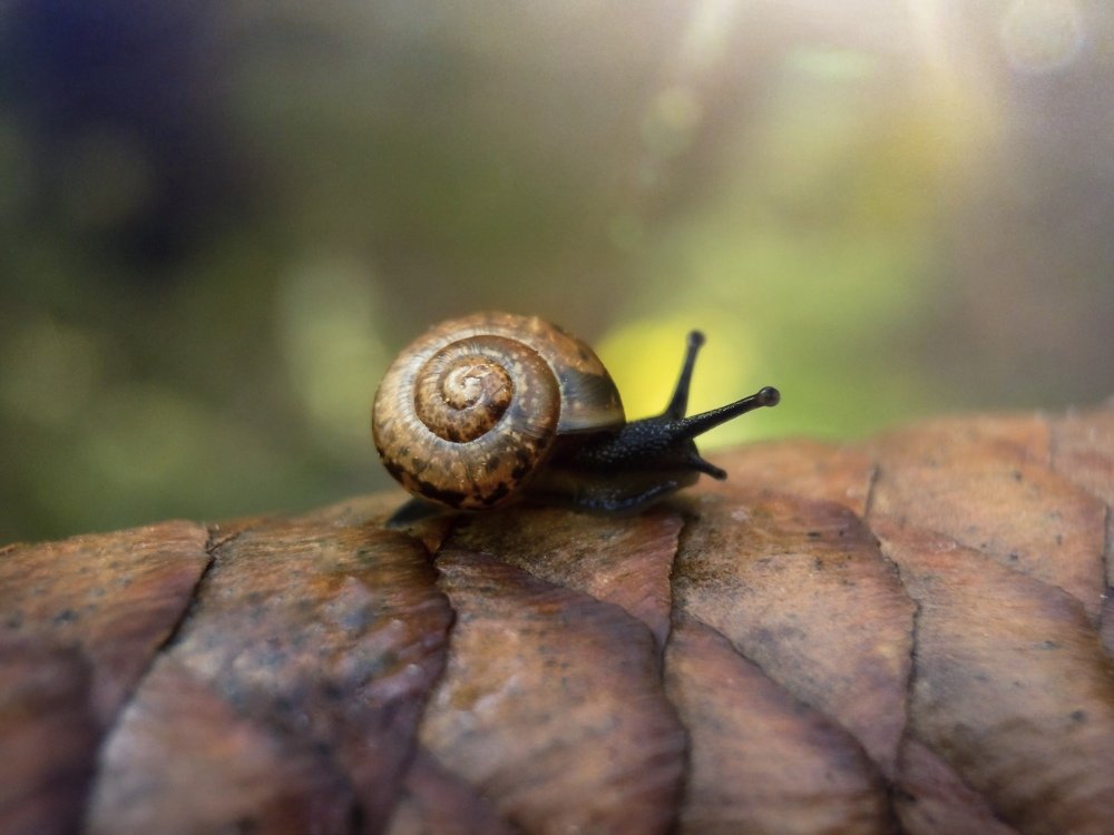 Photograph by Людмила Коныгина