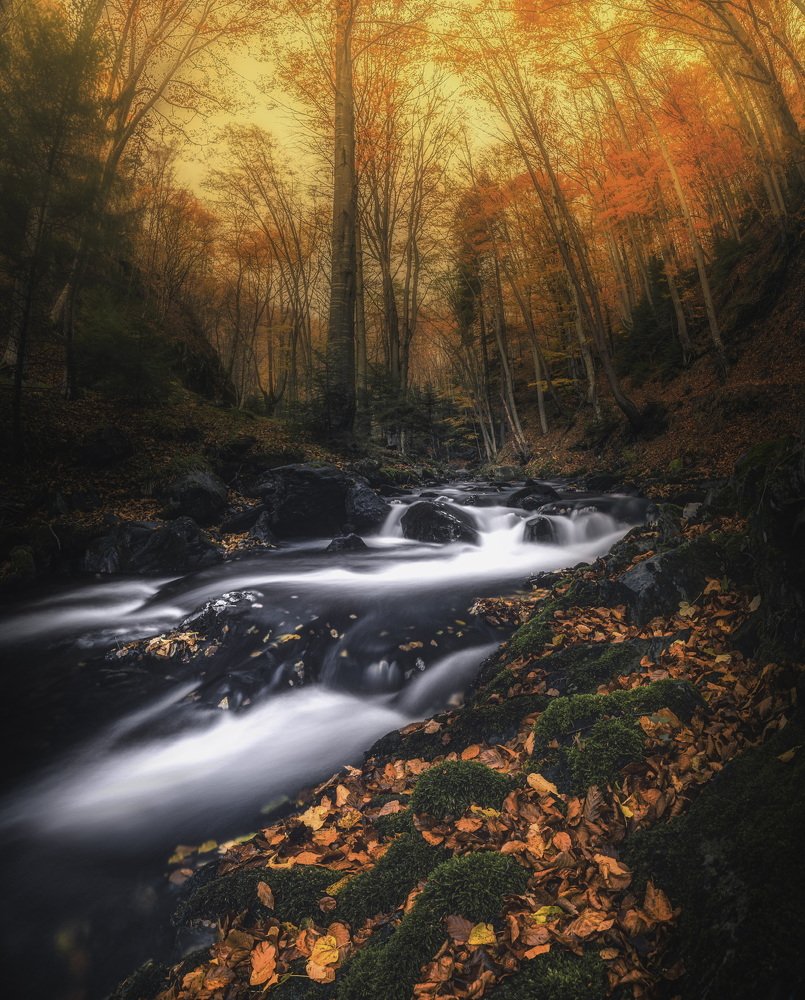 Photograph by Lyubomir Momchilov