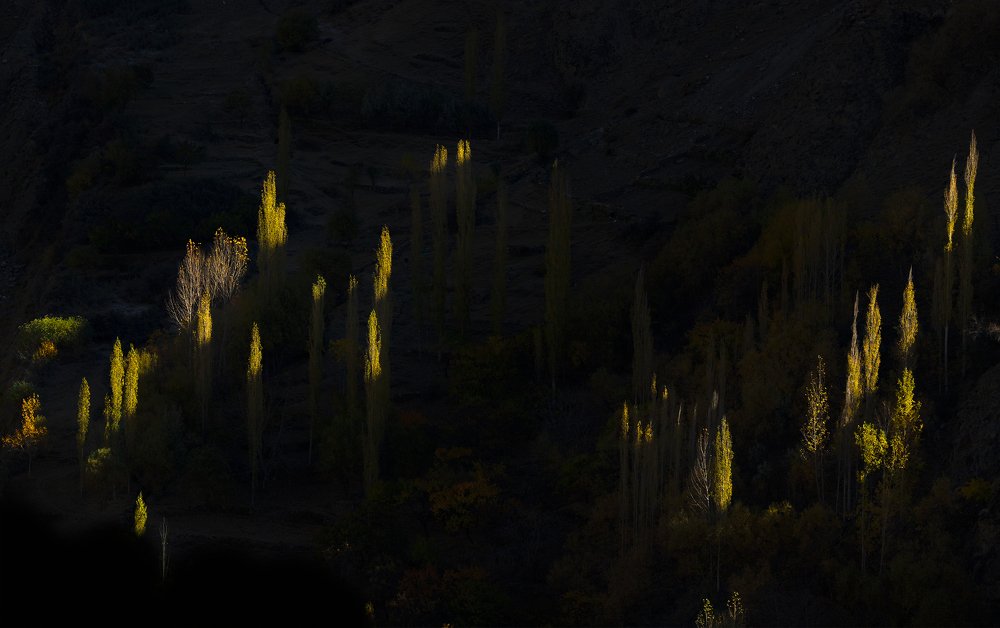 Photograph by Muhammad Asmar Hussain