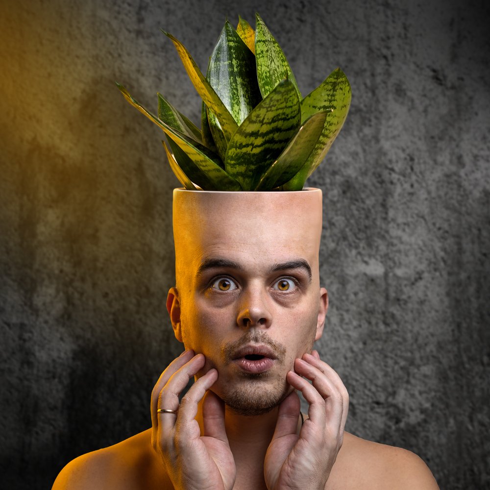 Photograph by Щепин Евгений