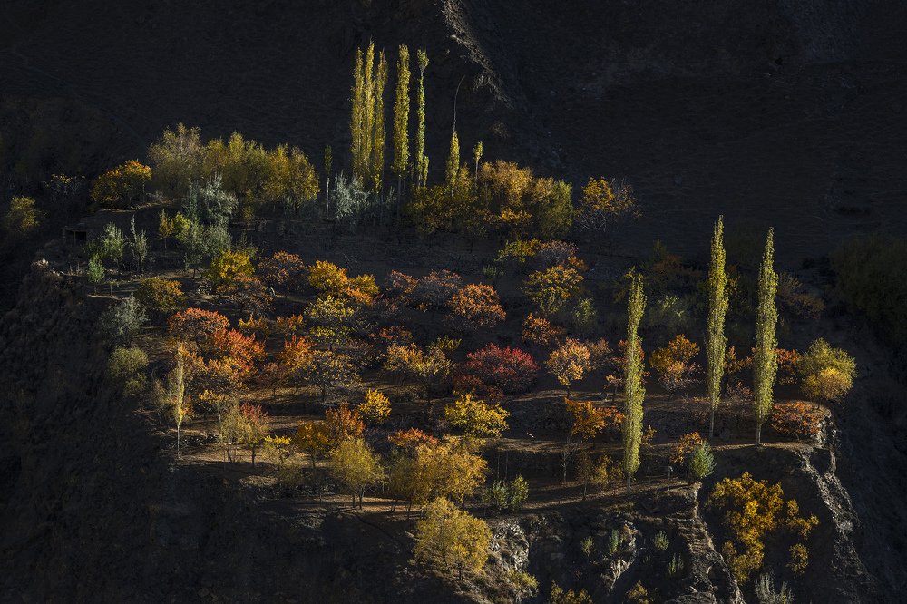 Photograph by Muhammad Asmar Hussain