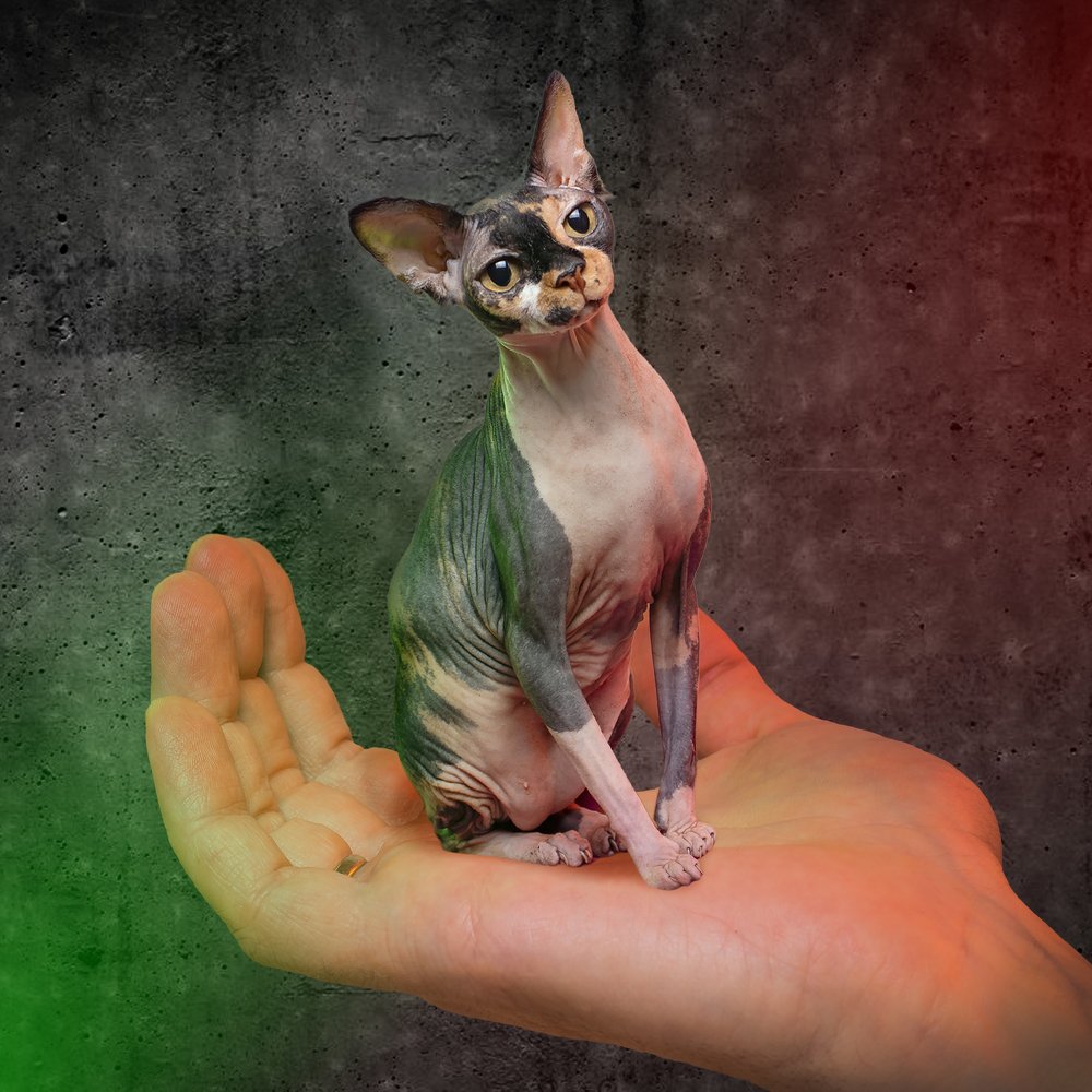 Photograph by Щепин Евгений