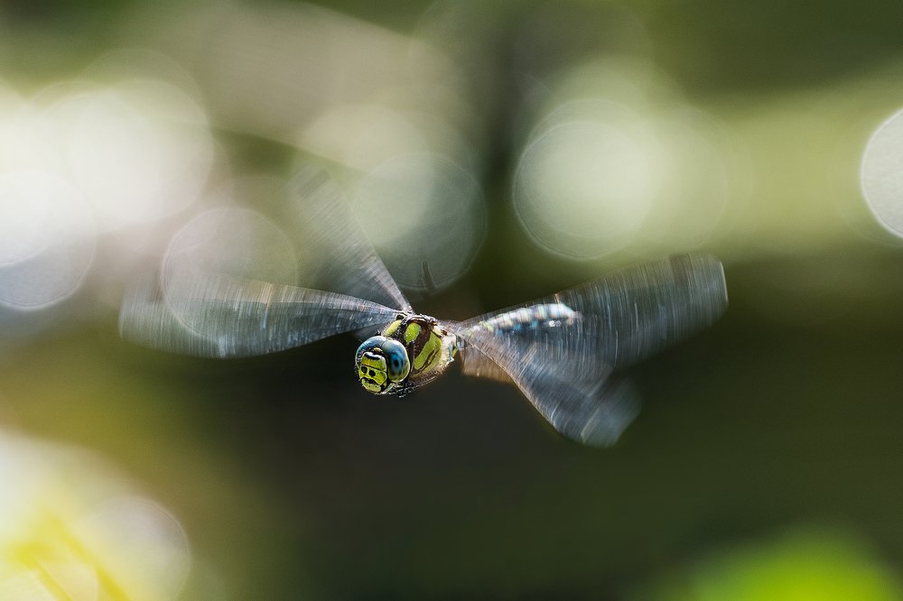 Photograph by Татьяна Дударенко