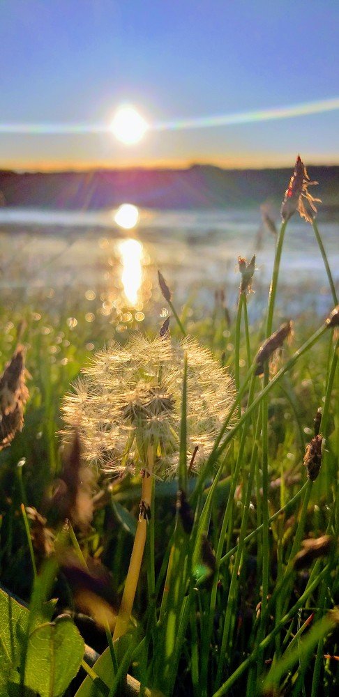 Photograph by Olga Gaidarzhi