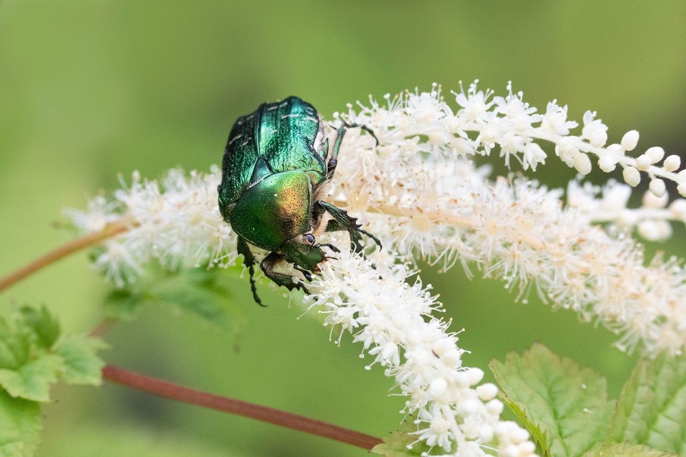 Photograph by Татьяна Дударенко