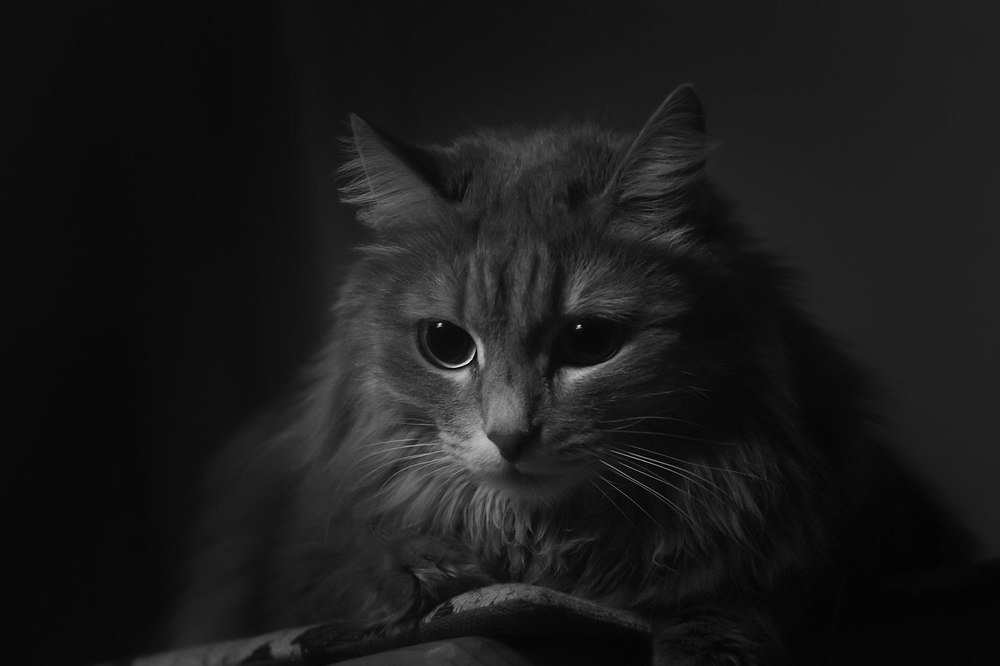 Photograph by Виктор Иванов