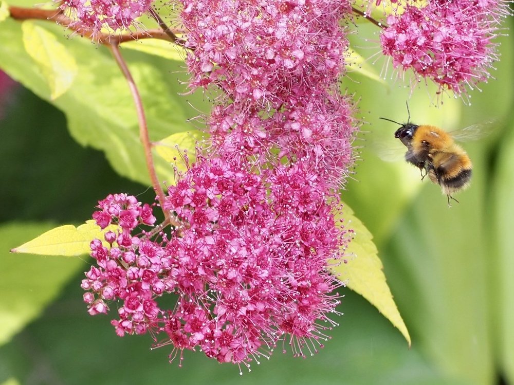 Photograph by Юлия Поршнева
