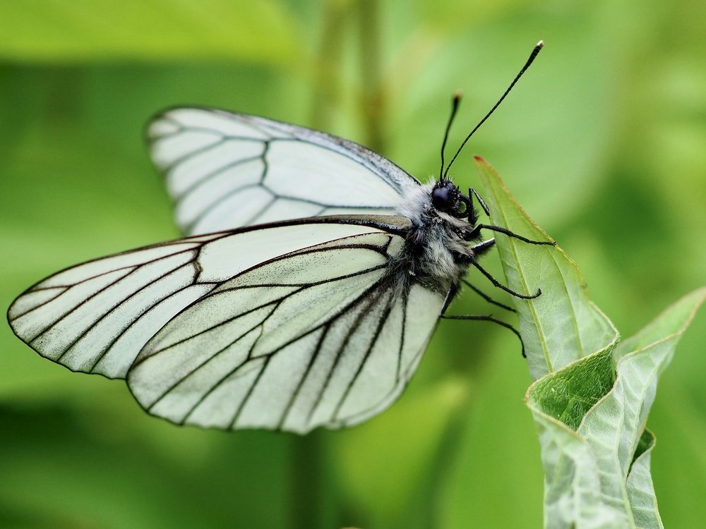 Photograph by Юлия Поршнева
