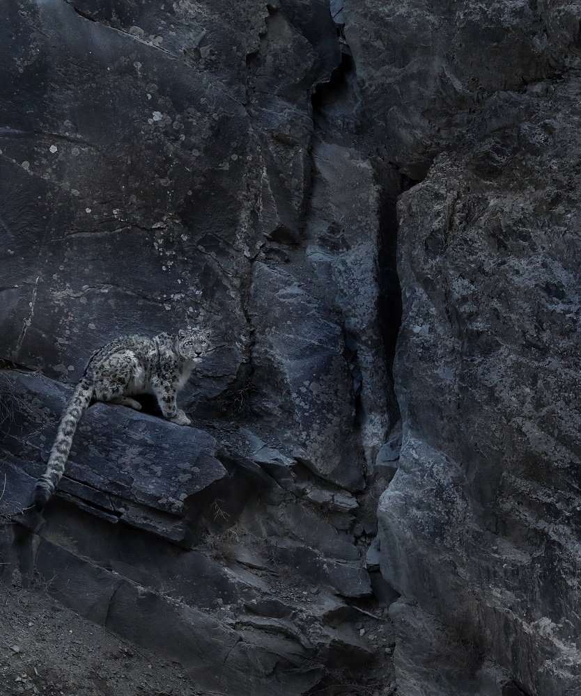 Photograph by Yash Adukia