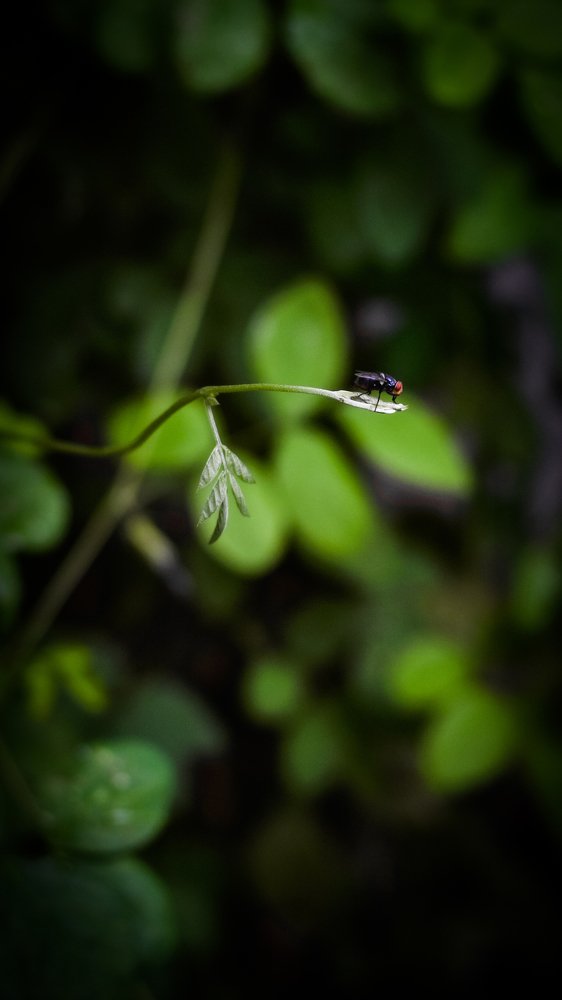 Photograph by Aditya Sahu
