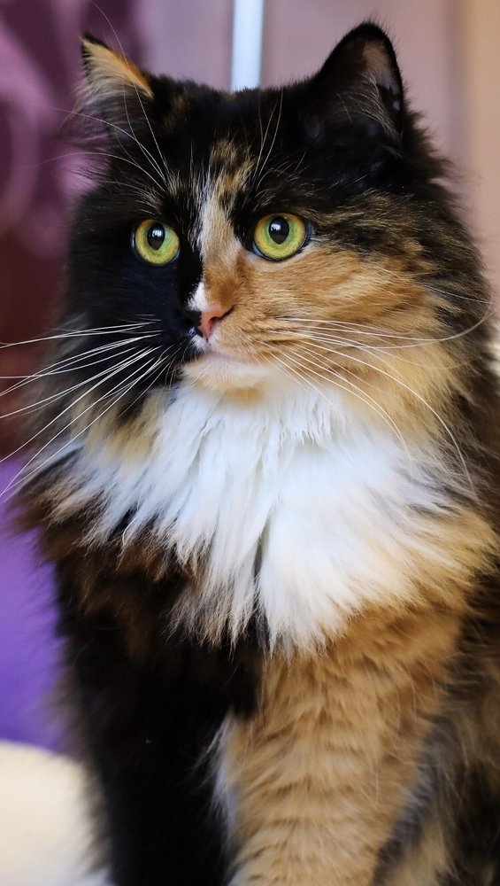 Photograph by Евгения Пугачева