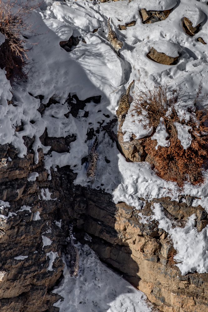 Photograph by Yash Adukia