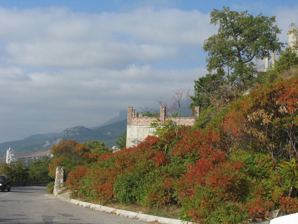 Photograph by Любовь Матвеева