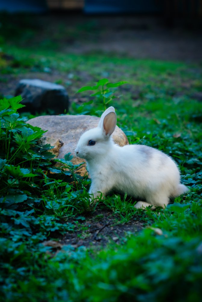 Photograph by Анастасия Зайцева