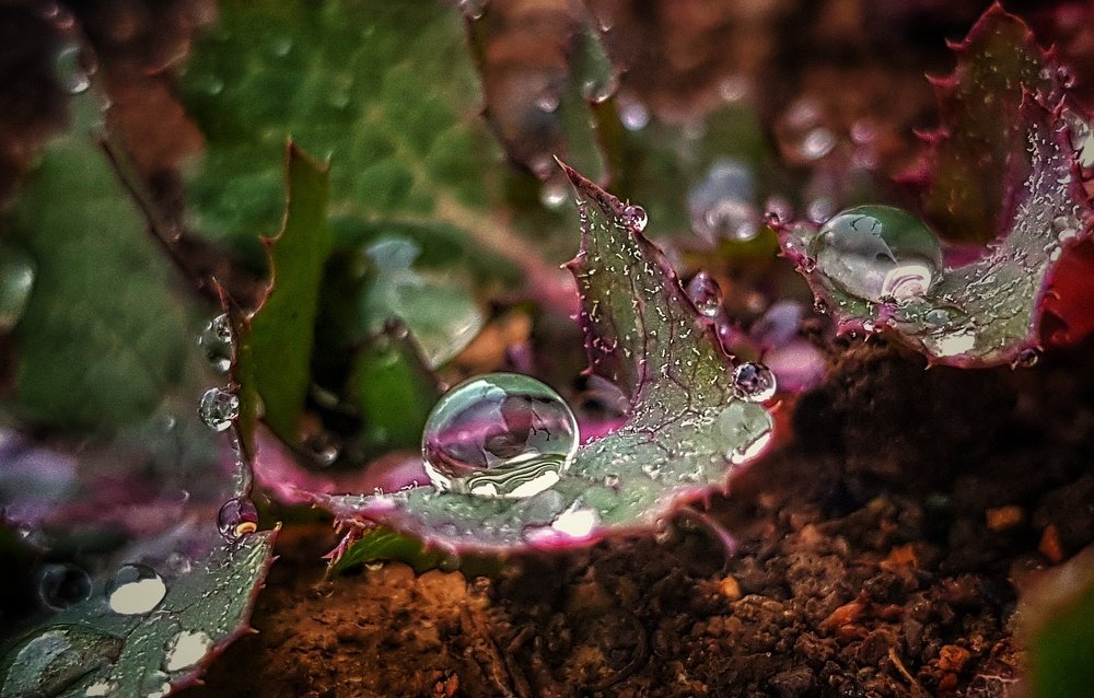 Фотография автора  reyhaneh khavaninzadeh