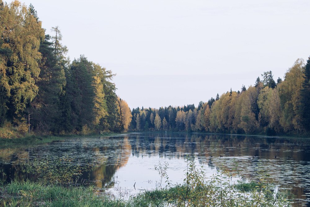 Photograph by Юлия