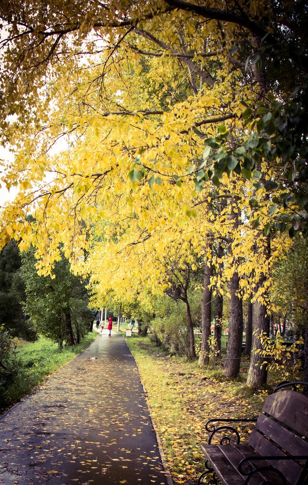 Photograph by Юлия