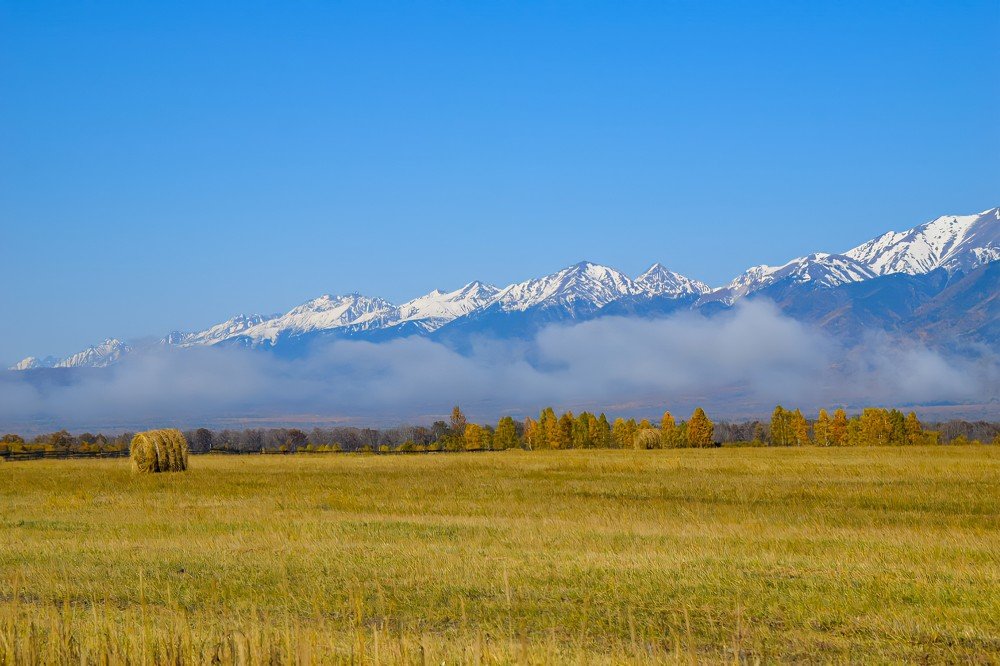 Photograph by Марина Корреа Ластра