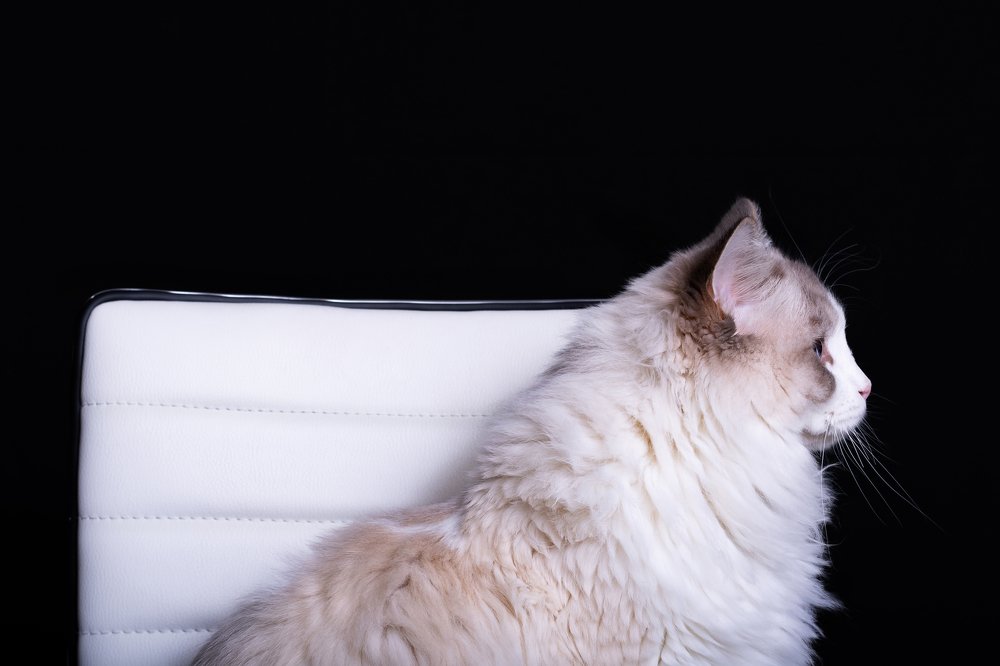 Photograph by Marianna Obino