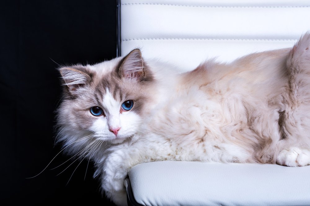 Photograph by Marianna Obino