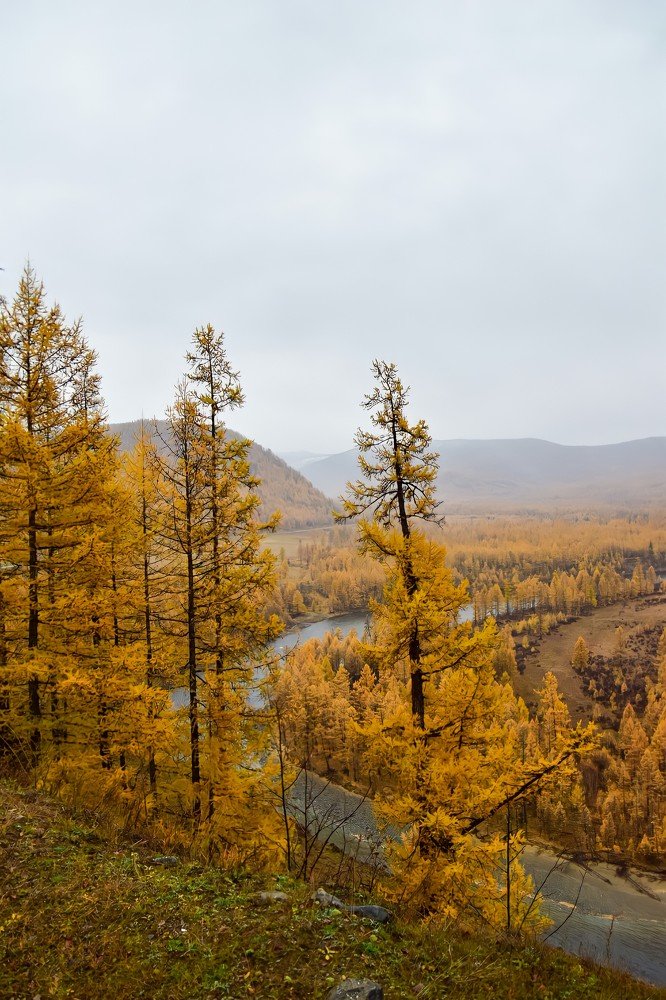 Photograph by Марина Корреа Ластра