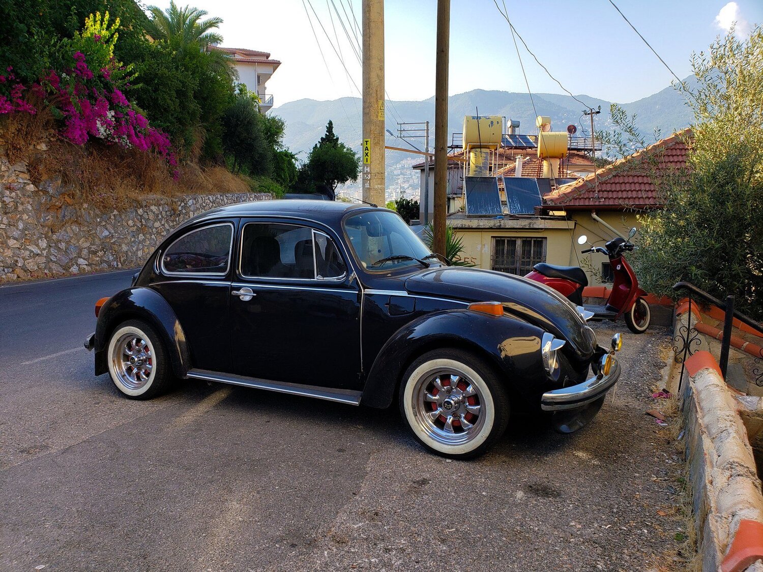 Photo #5245856