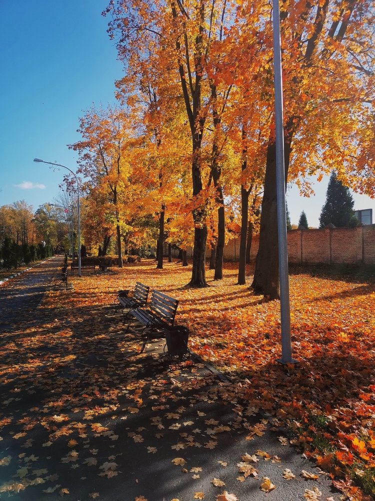 Фотография автора Светлана Смирнова