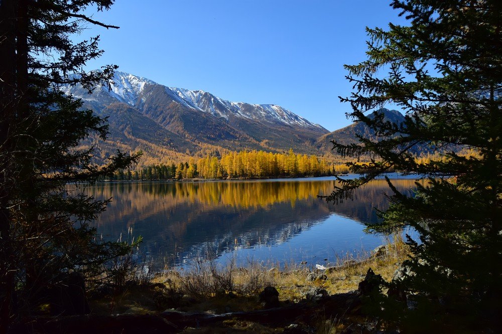 Photograph by Марина Корреа Ластра