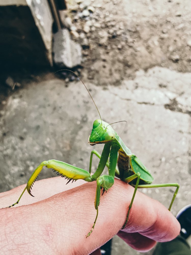 Photograph by Данила