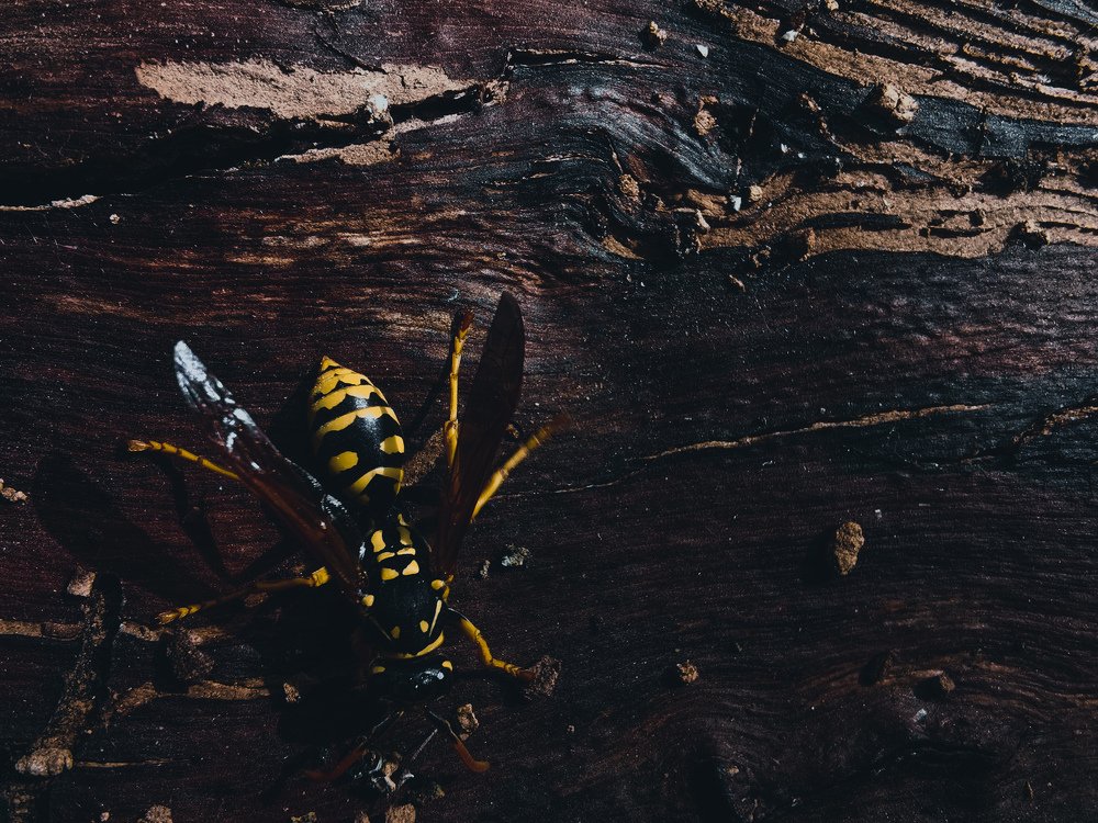 Photograph by Данила