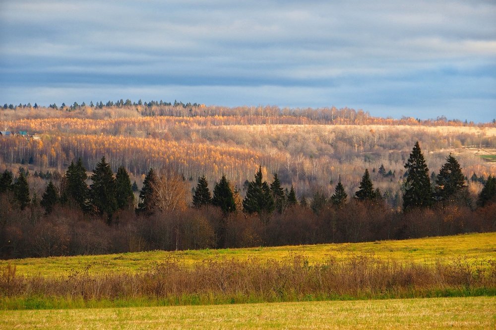 Photograph by Илья Шамин