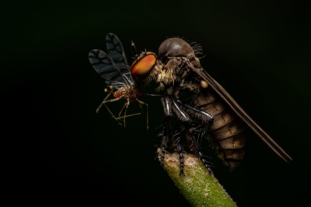 Photograph by Avinash P C