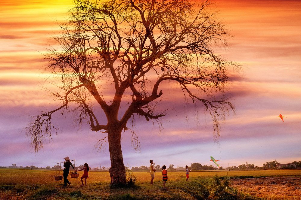 Photograph by NGỌC HẢI NGUYỄN